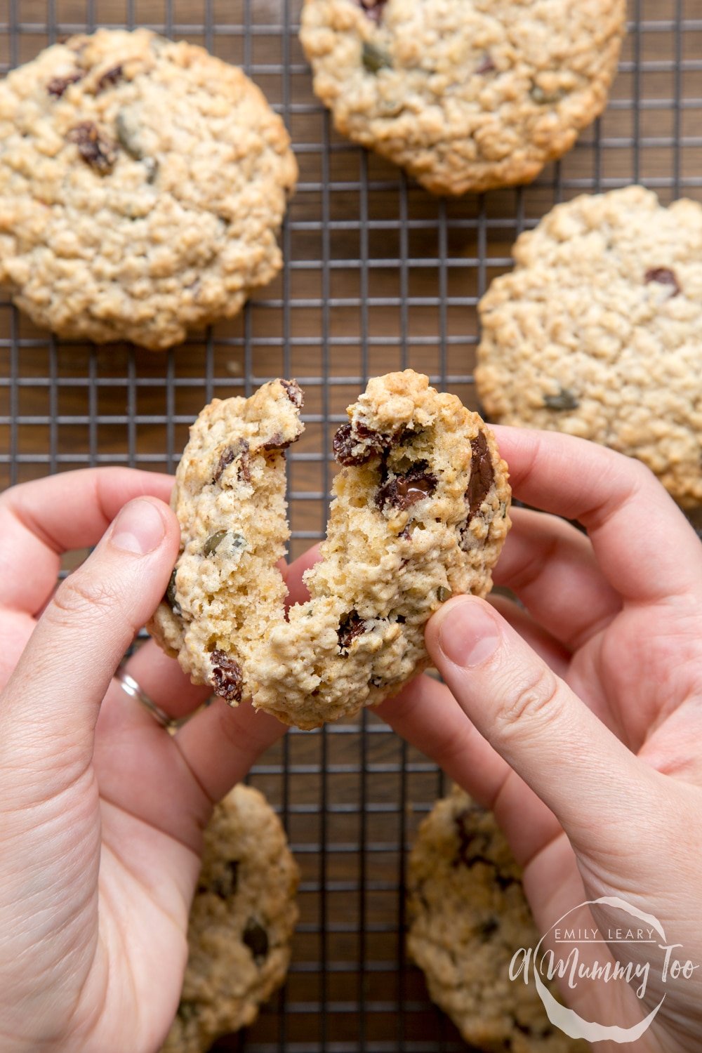 A hand holds a vegan oat cookie and is breaking it open. More vegan oat cookies are shown in the background, cooling on a wire rack.