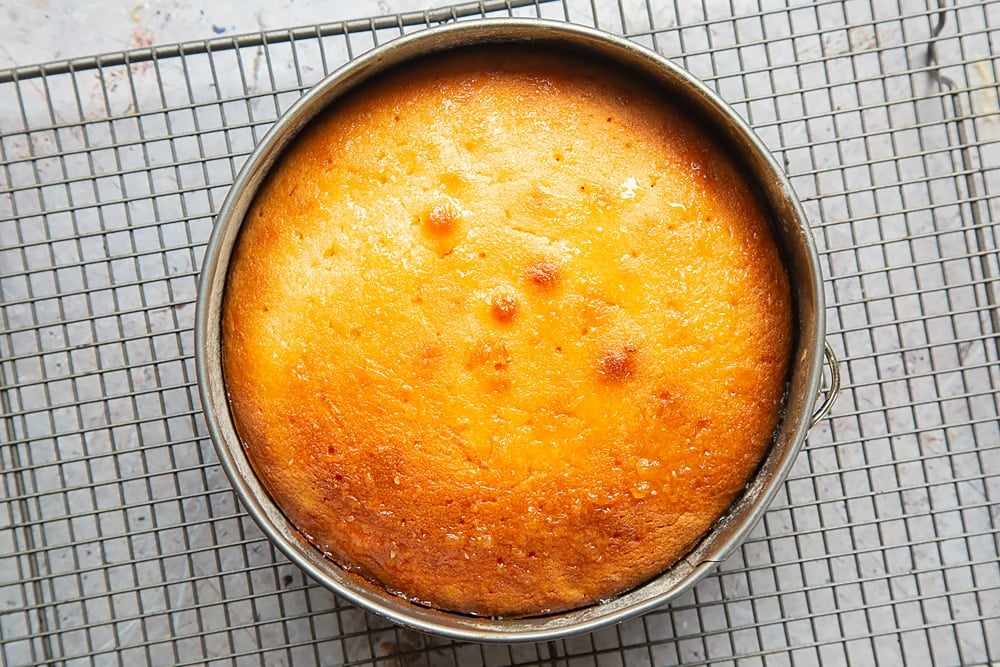 Lemon drizzle cake in a springform tin