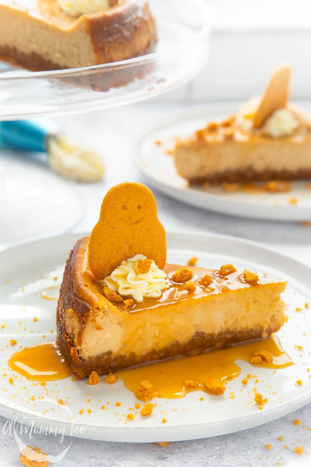 Overhead shot of gingerbread cheesecake with a hand putting gingerbread toppings above the cream