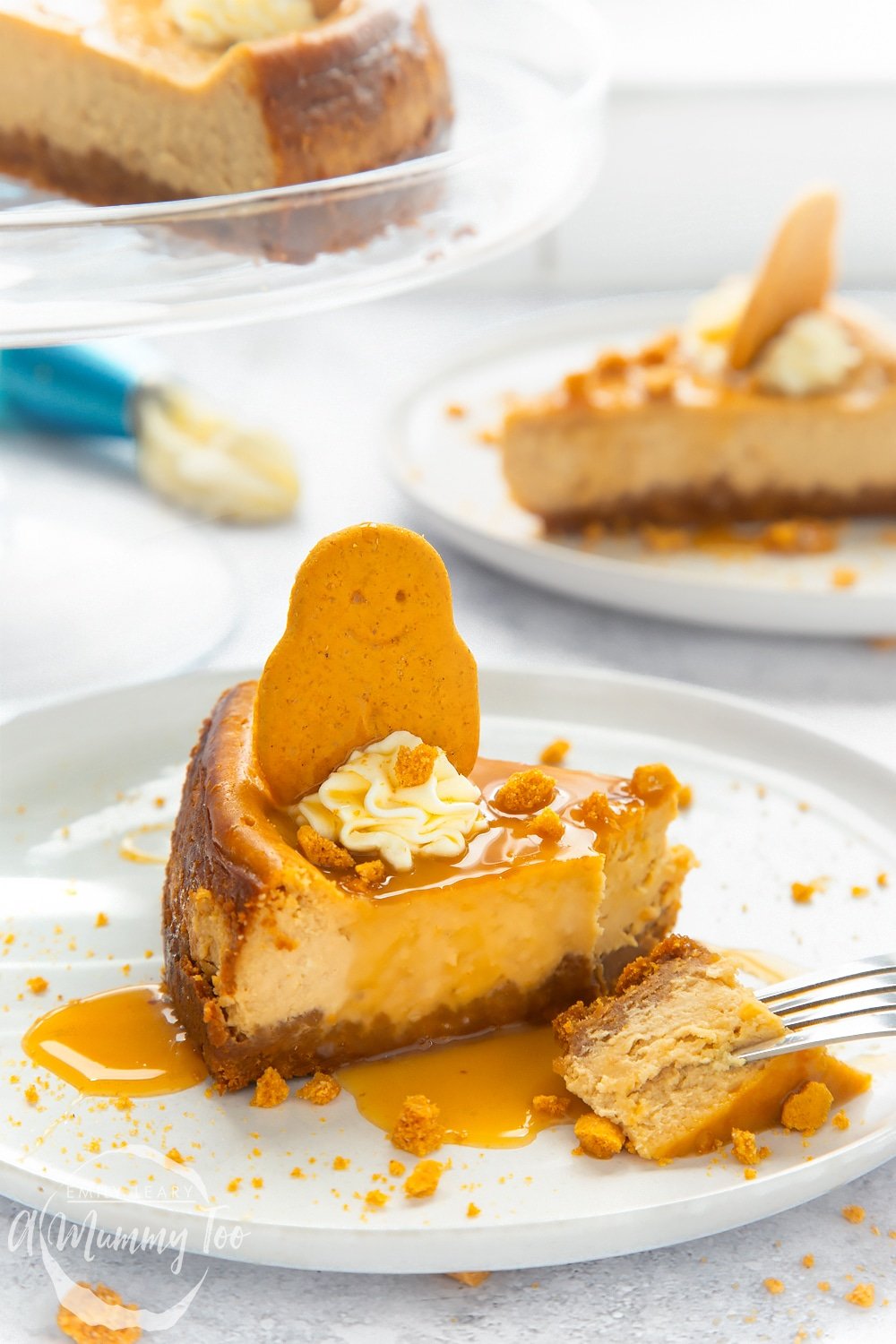 Front angle shot of a Gingerbread cheesecake drizzled with caramel sauce served on a white plate with a mummy too logo in the lower-left corner 