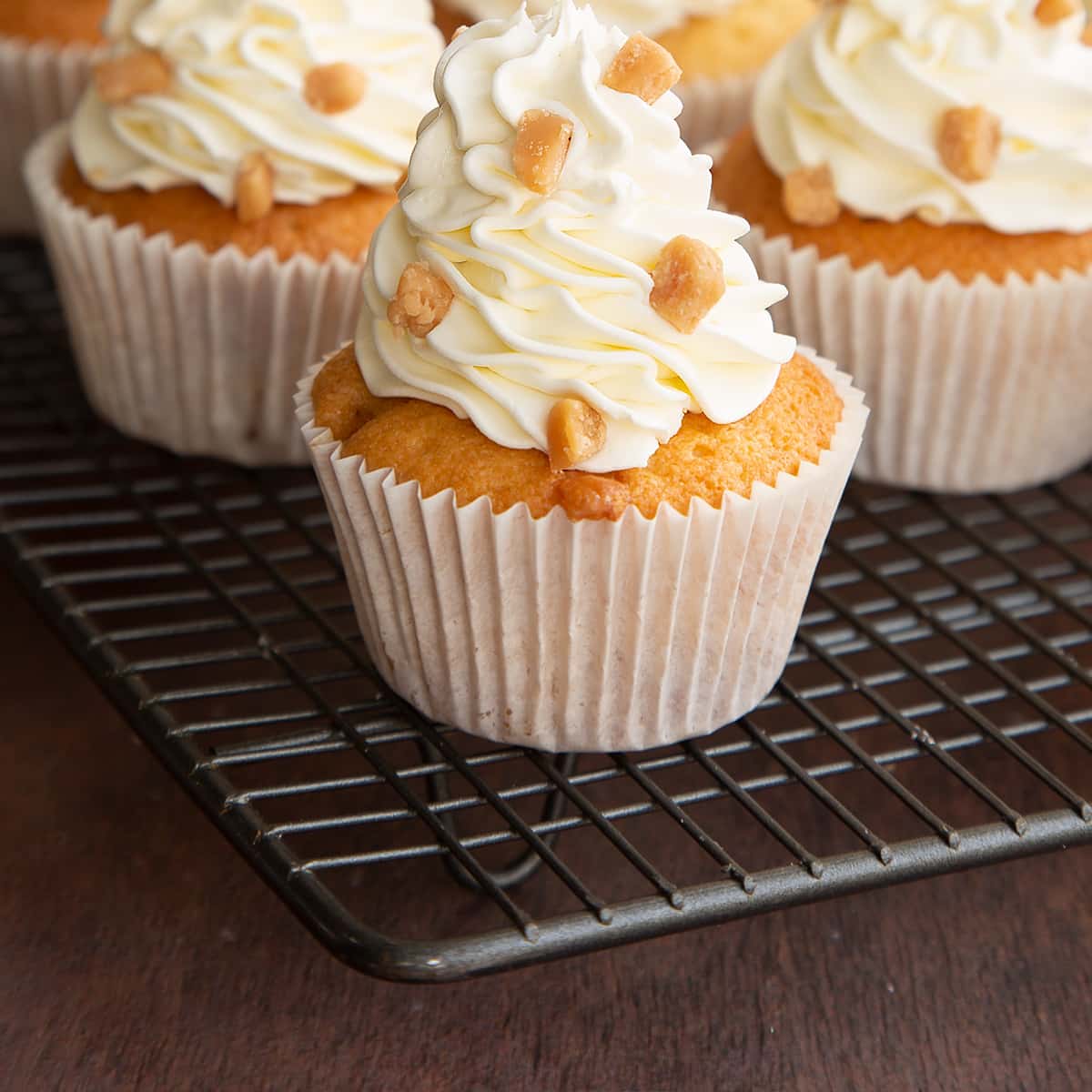 Vanilla Fudge Cupcakes