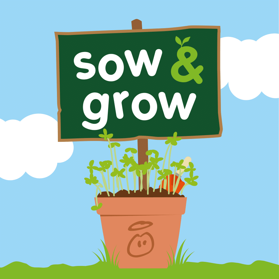 innocent Sow & Grow