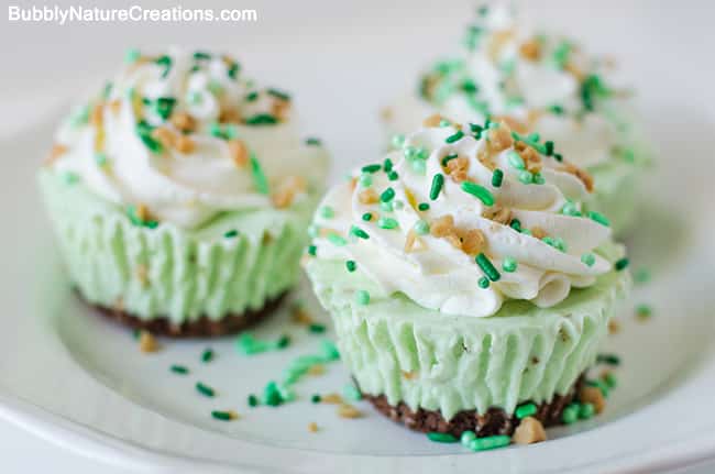 Irish Cream Ice Cream Cupcakes by sprinkle some fun