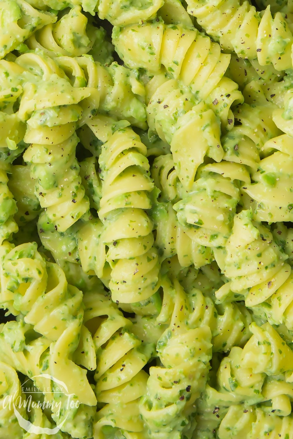 Close up of pasta coated in green pasta sauce