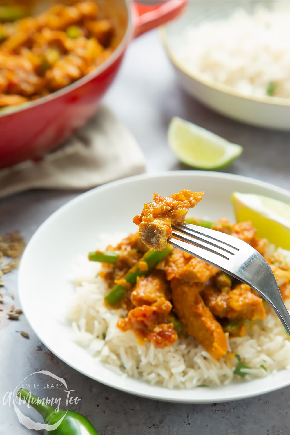 Enjoying this coconut-pork curry, served with rice. A piece of pork is shown on a fork.