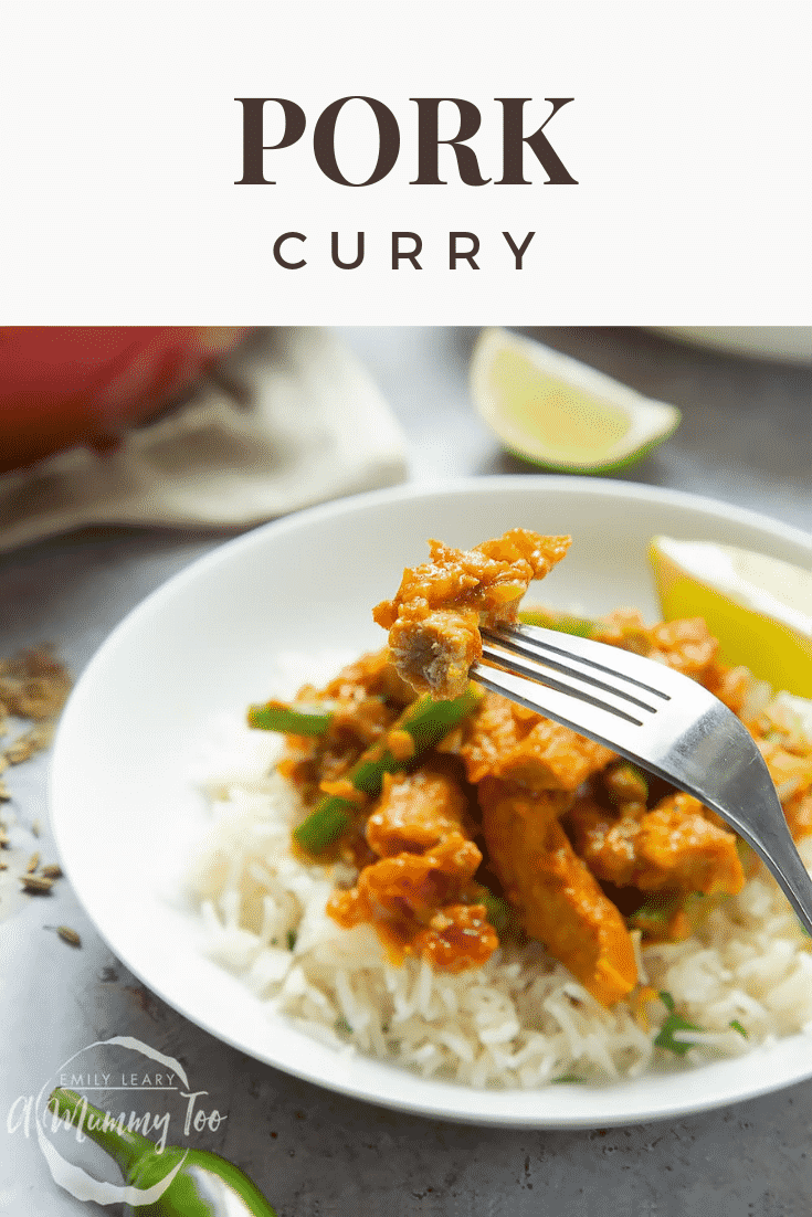 A succulent piece of pork from the curry is resting on a fork. It has been picked up from a nearby bowl of curry and rice.