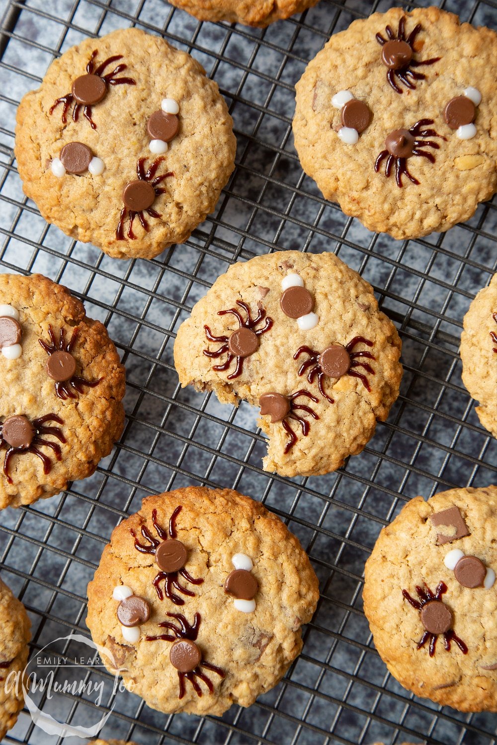 Halloween peanut butter spider cookies arranged on a metal cooling rack. The cookies are decorated with chocolate chips and icing to resemble spiders and flies. One cookie has a bite out of it.