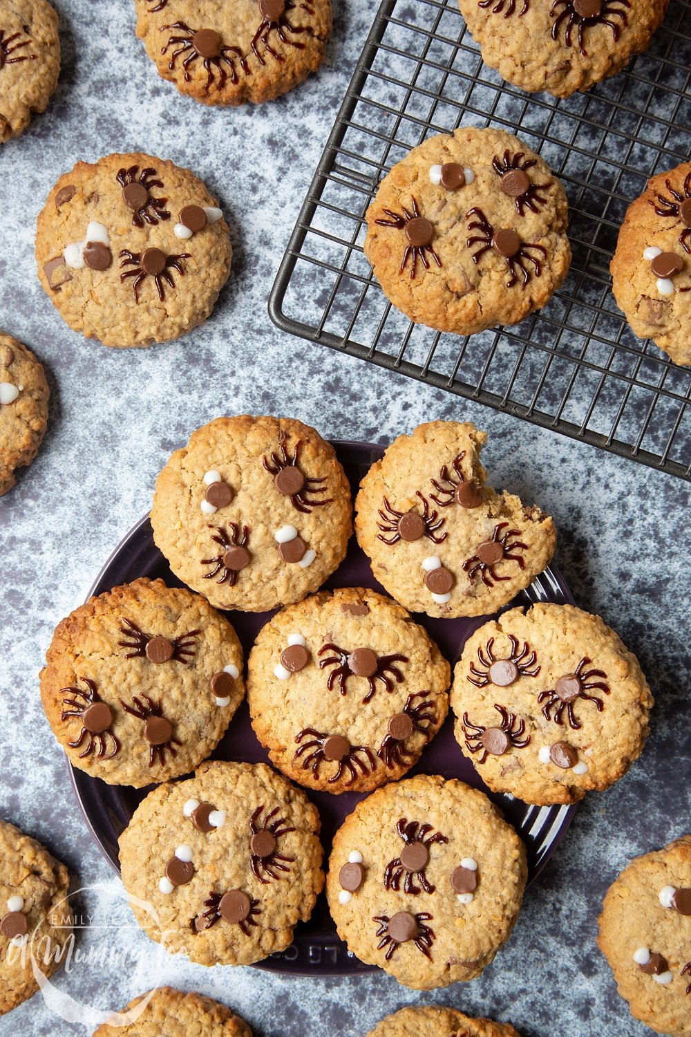 Peanut butter spider cookies - oatmeal cookies with chocolate chips decorated to look like spiders and flies.