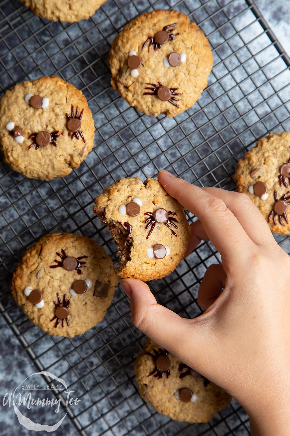 Halloween peanut butter spider cookies on a wire rack. A cookie is being picked up off the rack - a bite has been taken out of the cookie.