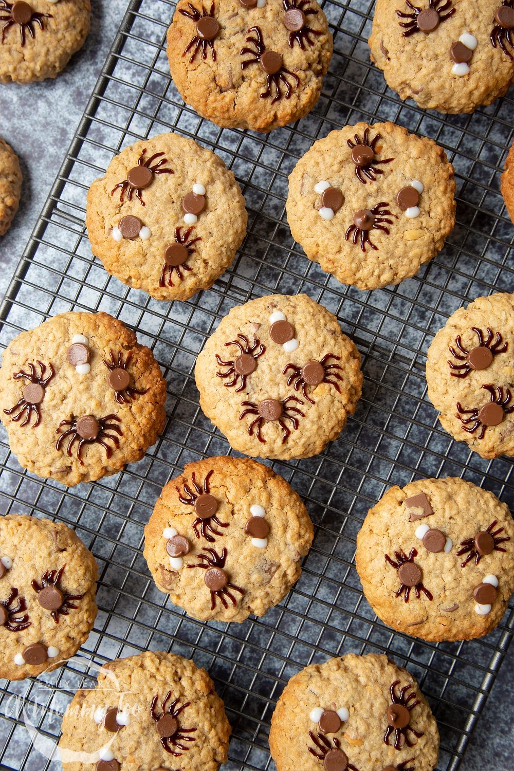 Halloween peanut butter spider cookies cooling on a wire rack. Some cookies have two spiders and two flies, some have three spiders and one fly.