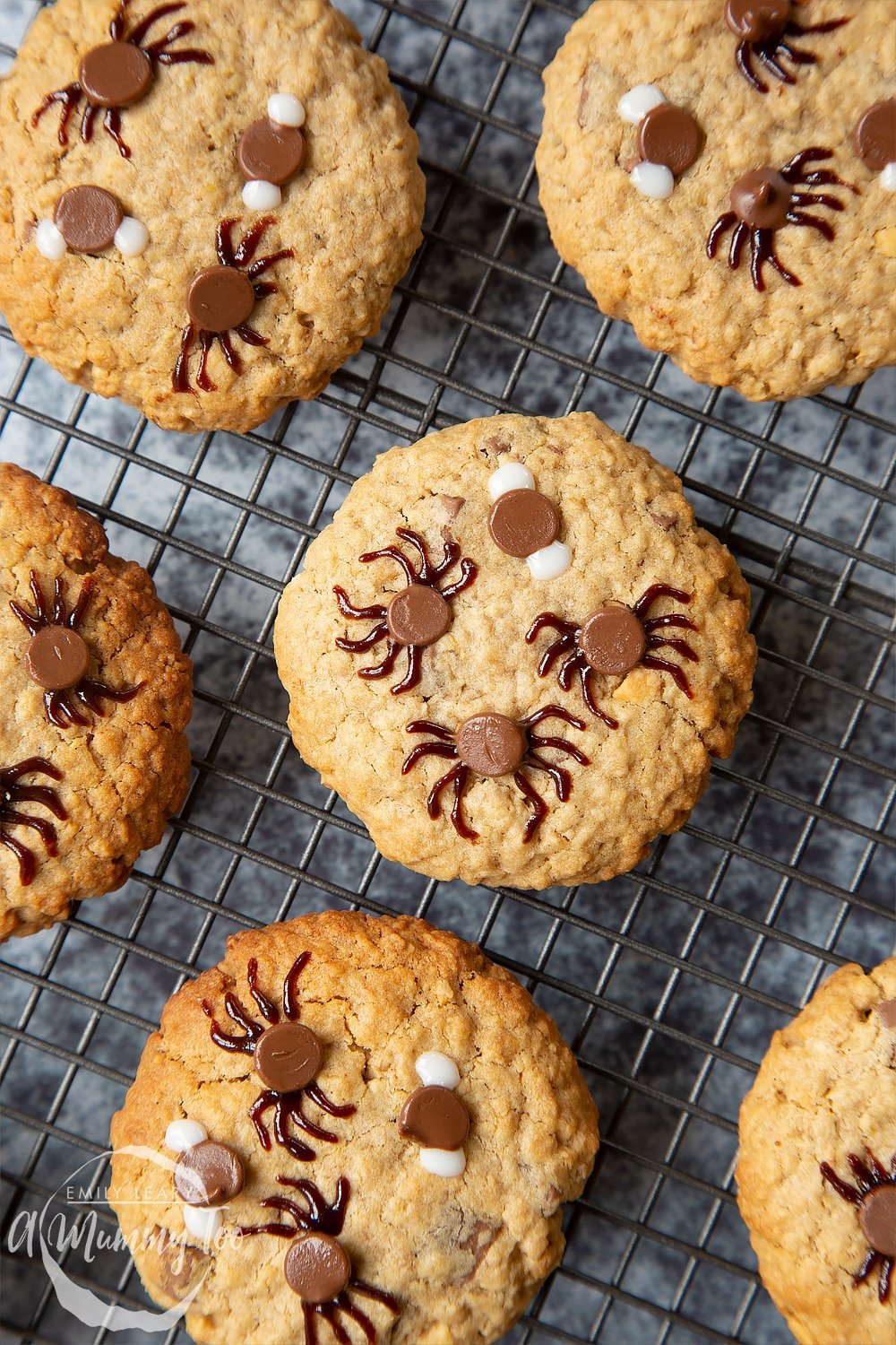 Halloween peanut butter spider cookies cooling on a wire rack. The chocolate chips that are visible have spider legs or fly wings painted on them.