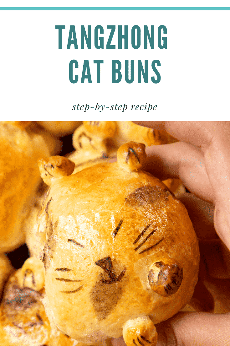 A close up of a tangzhong bread bun, shaped to look like a kitten, being held by a hand