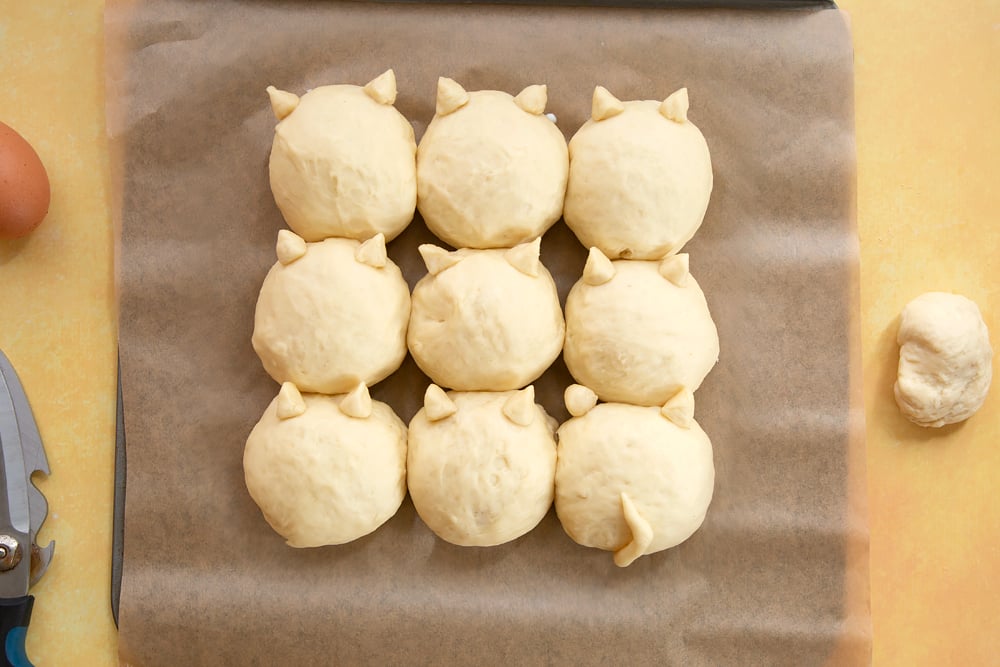 9 balls on tangzhong bread dough arranged on a tray lined with baking paper. Cats ears formed from the remaining dough and attached.