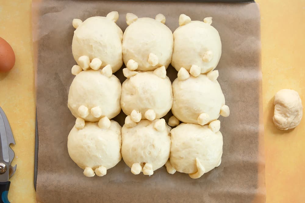 9 cat shaped tangzhong bread rolls, proved on a tray lined with baking paper. 