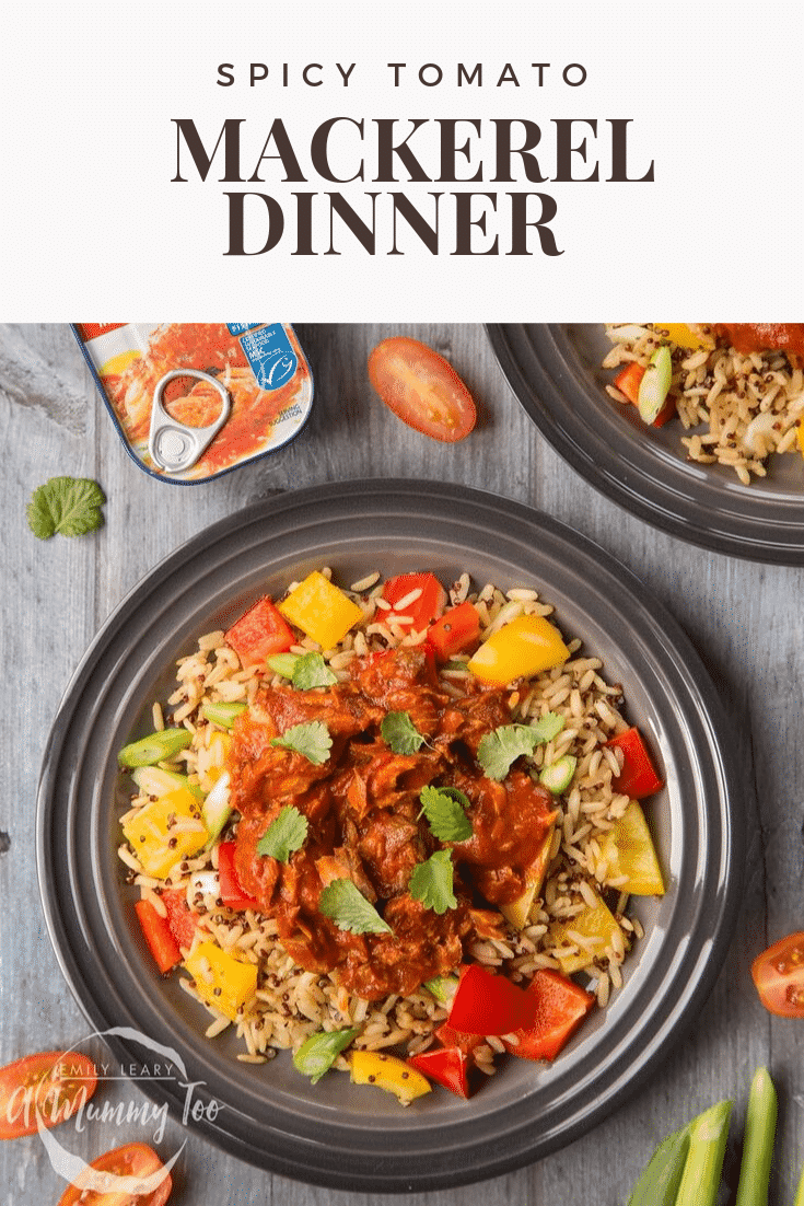 Overhead shot of the Spicy Tomato Mackerel with Rice. At the top of the image there's some text describing the image for Pinterest.