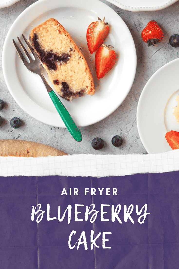 Blueberry Cake Recipe Baked in The Tefal Acti Fry