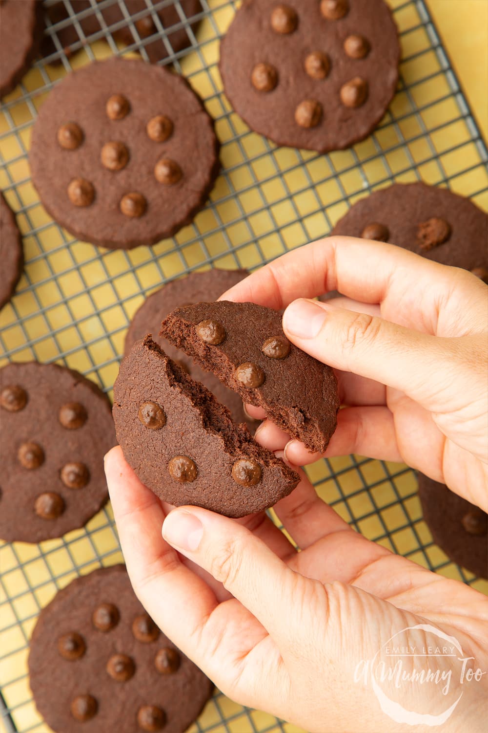 Hand holding a freshly baked chocolate shortbread cookie, broken in half.