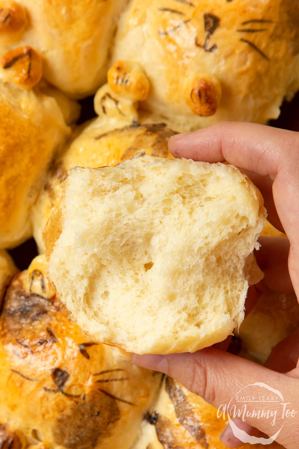 Kim-Joy's Tangzhong Cat Buns - close up showing the soft, fluffy interior of one of the bread rolls