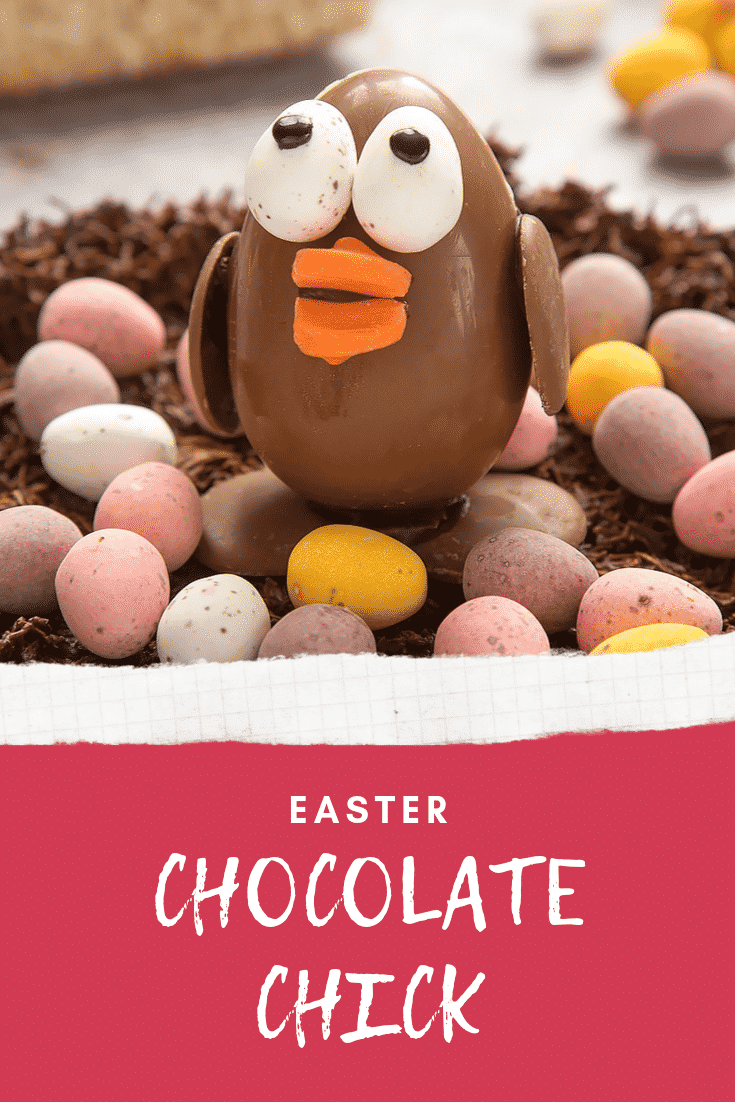 EASTER CHOCOLATE CHICK graphic text above side angle shot easter egg chick chocolate