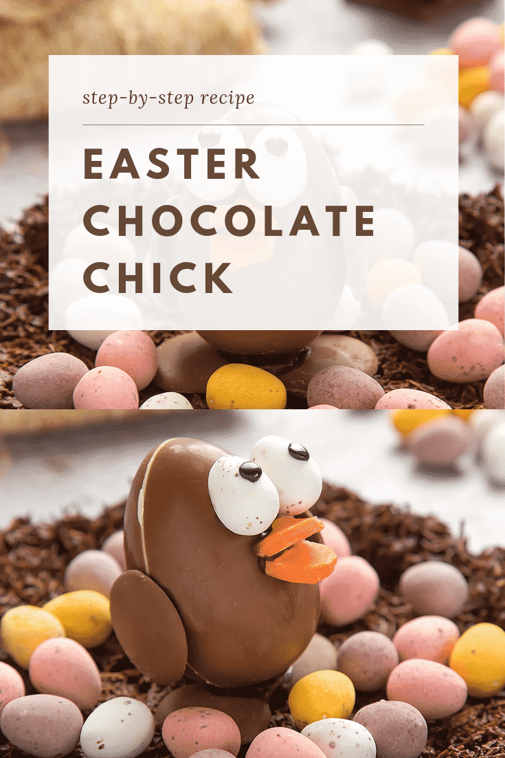 EASTER CHOCOLATE CHICK graphic text above side angle shot easter egg chick chocolate