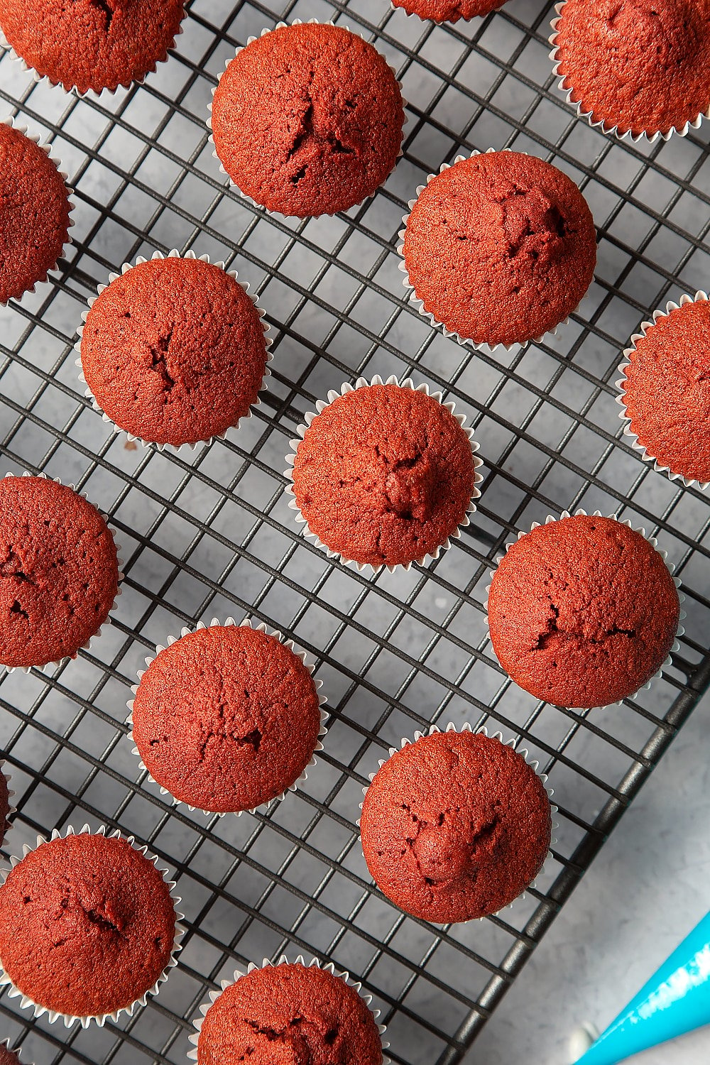 Overhead shot of the mini red velvet cupcakes cooling on a wire rack. 