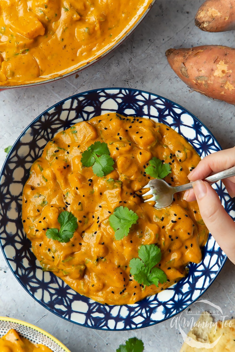 A finished bowl of butternut squash and chickpea curry