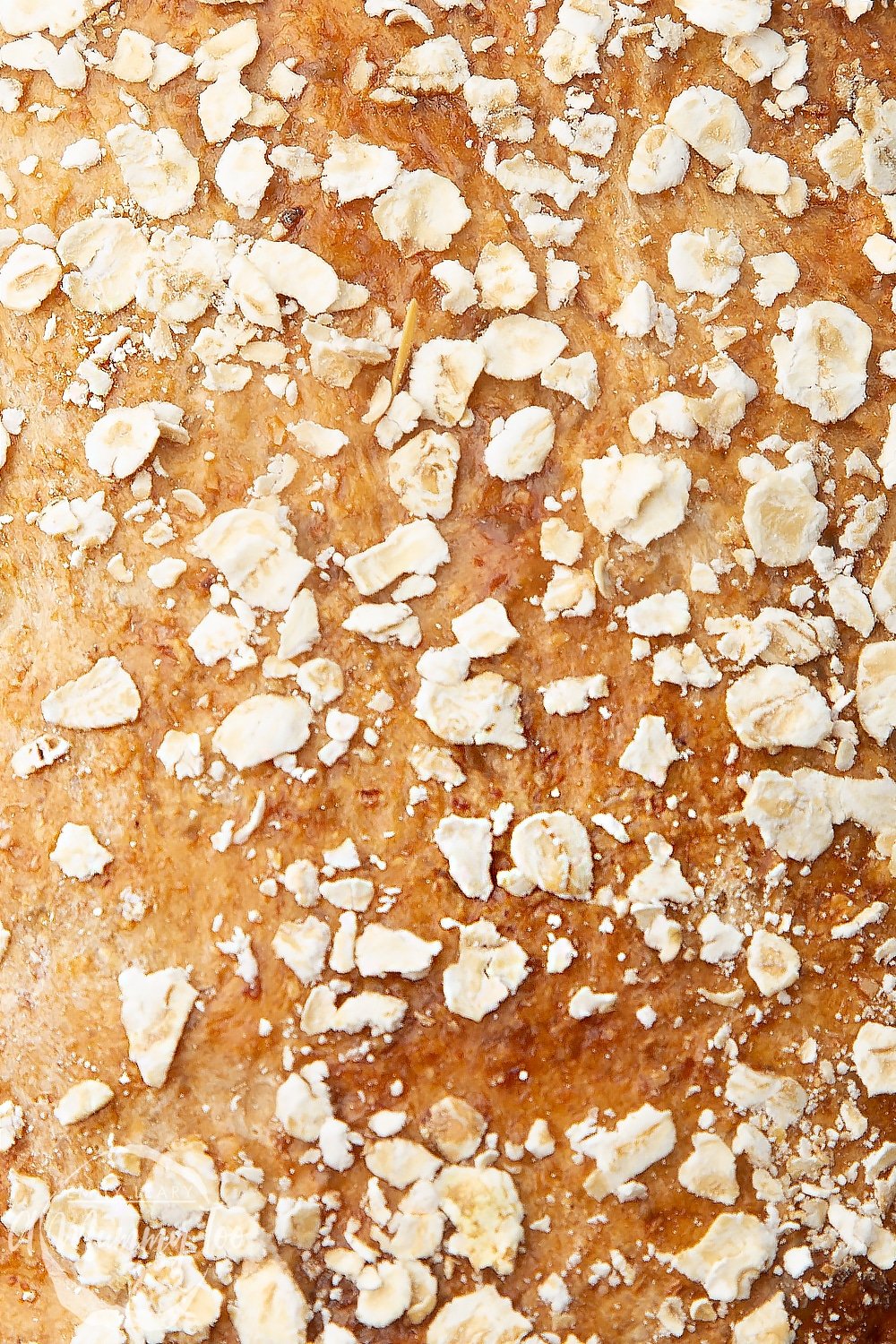 close-up shot of honey and oat bread