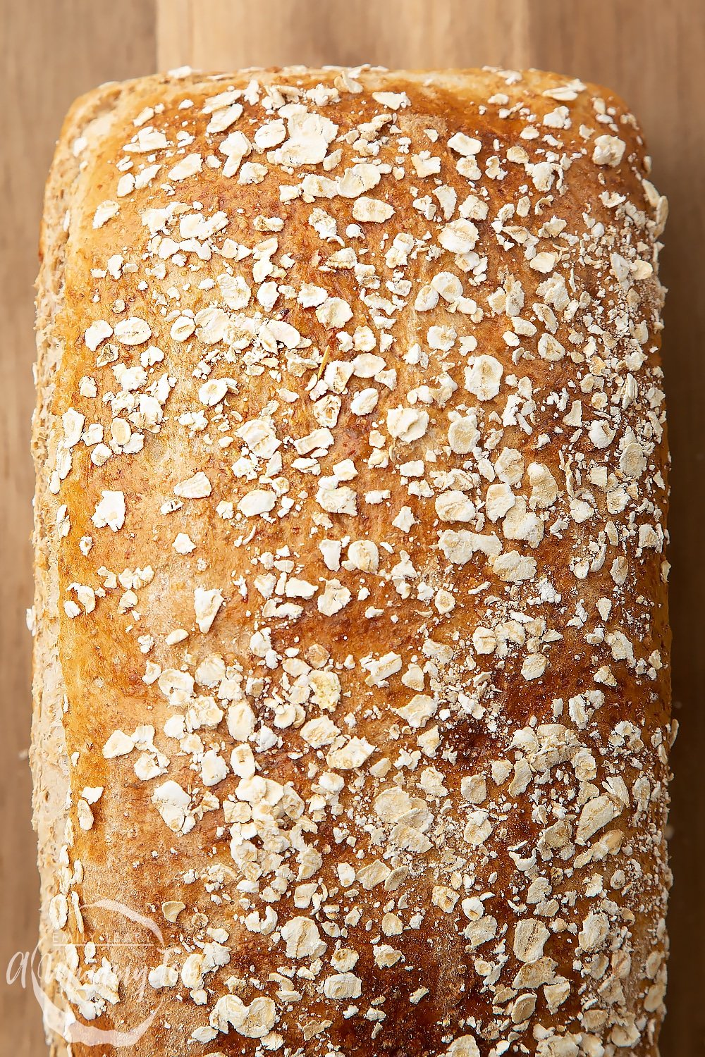 Baked light honey and oat bread in a loaf tin