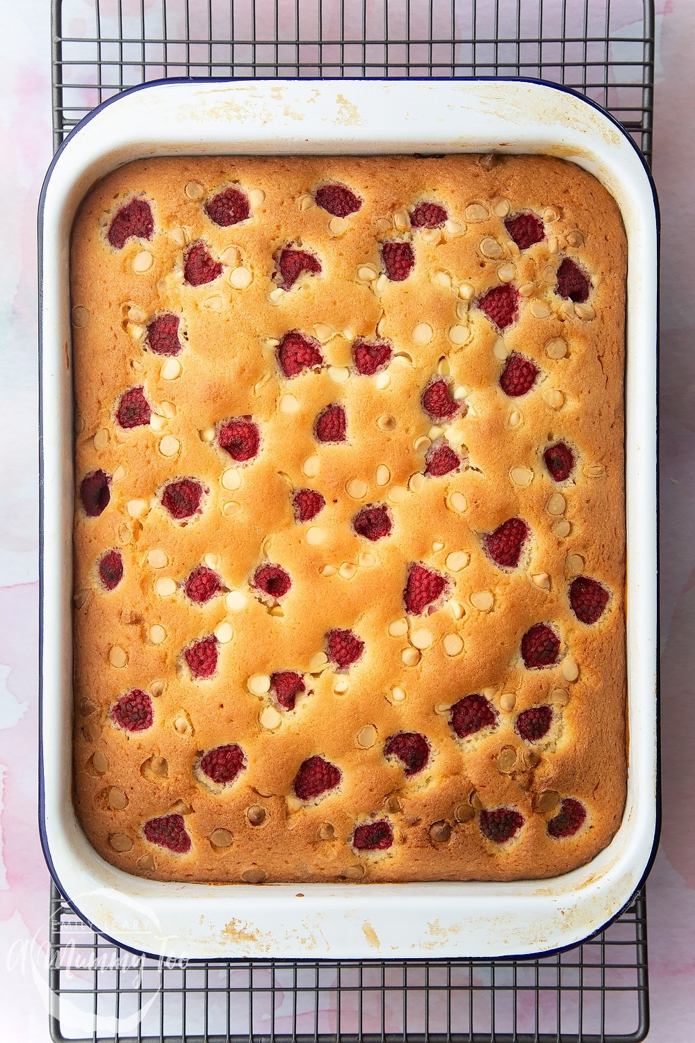 A raspberry and white chocolate traybake in a white tray, baked and fresh from the oven. 