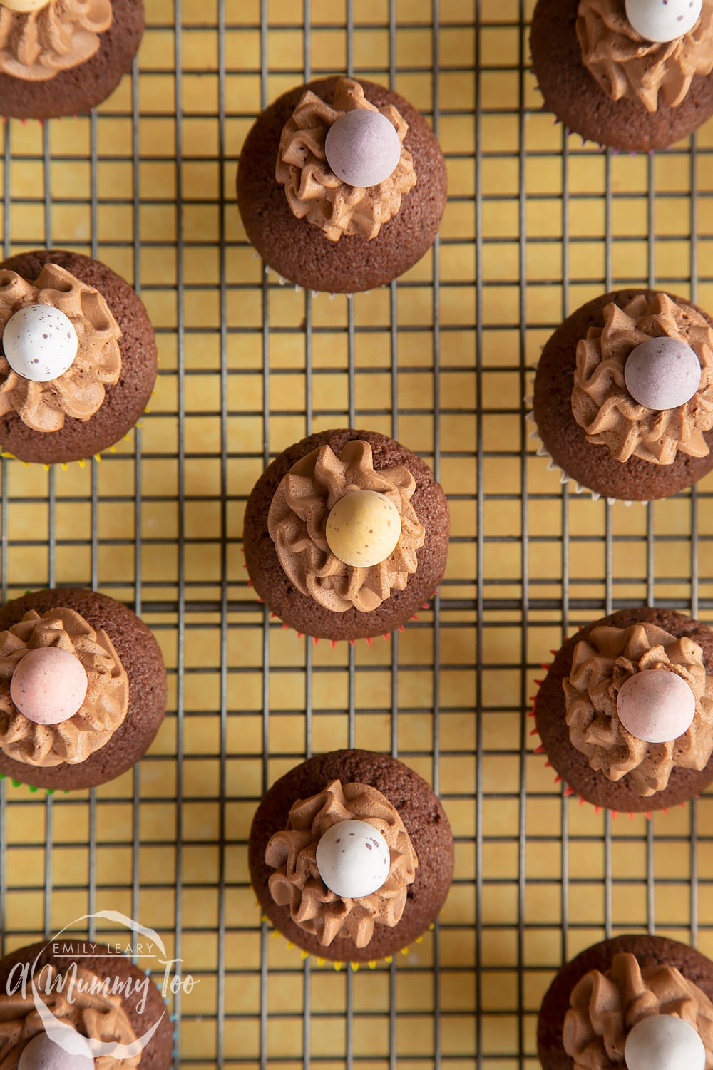 Overhead shot of a Mini chocolate cupcakes for Easter with a mummy too logo in the lower-left corner