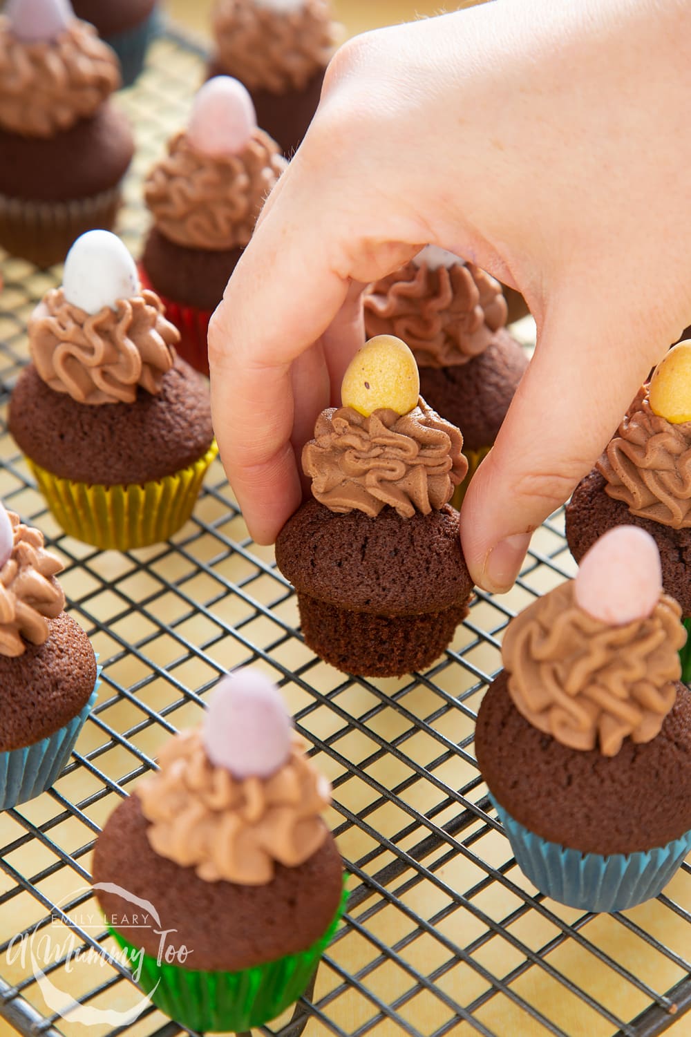 front angle shot of a hand holding a chocolate muffin topped with chocolate frosting on a baking rack with a mummy too logo in the lower-left corner