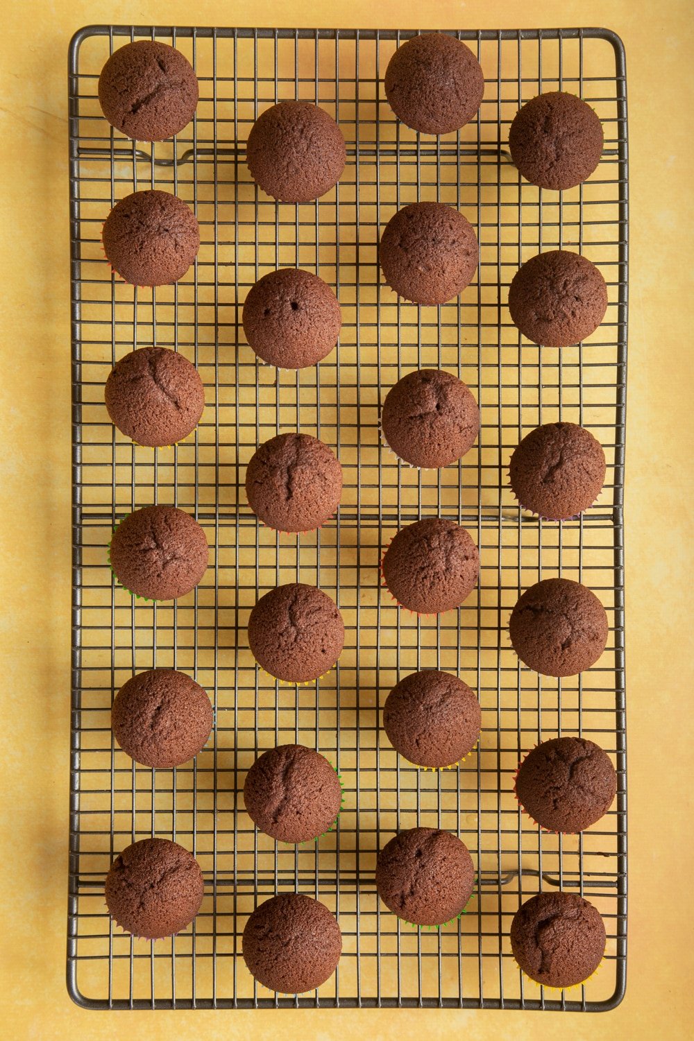 Overhead shot of chocolate muffins in a baking rack