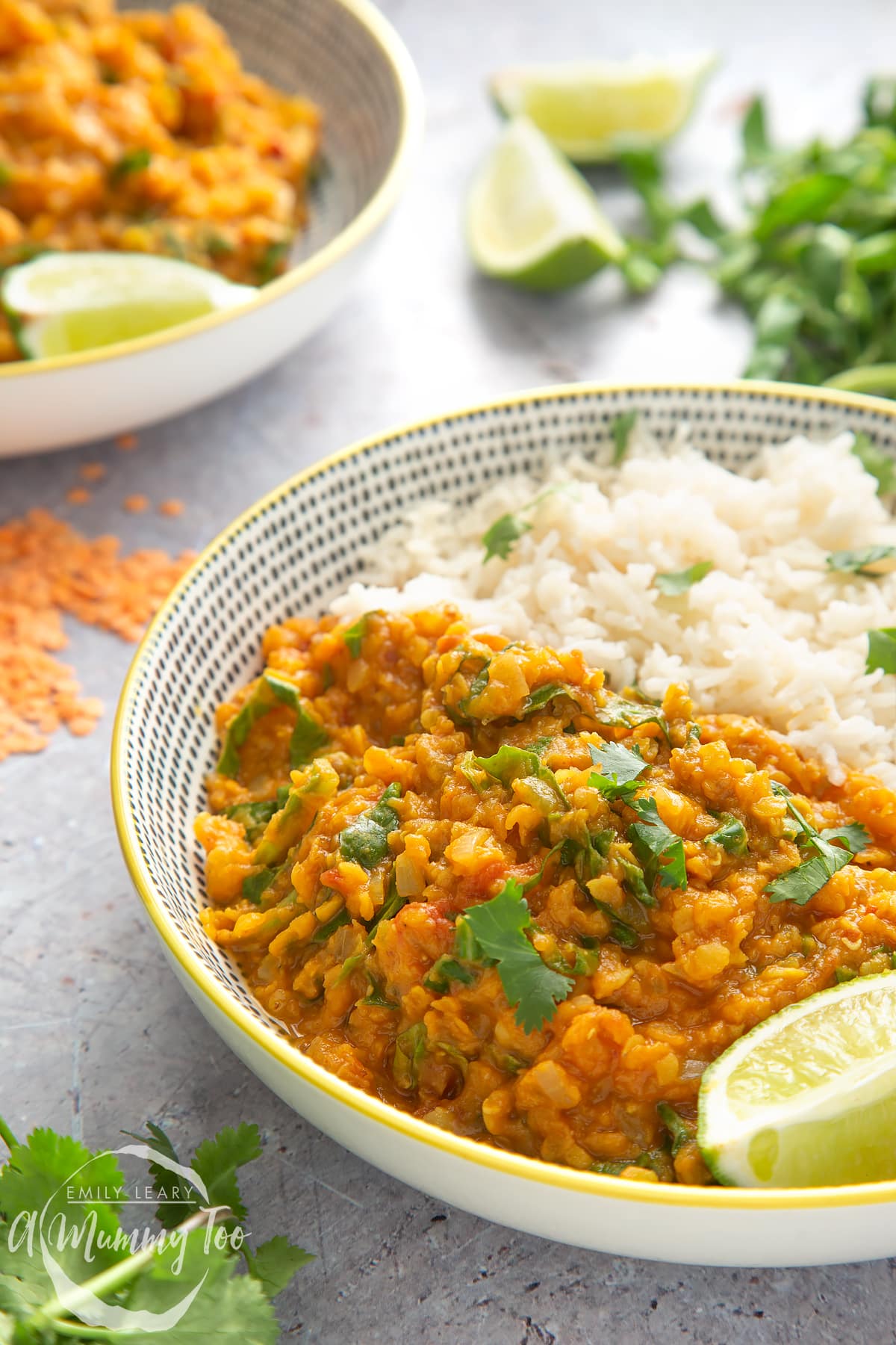 Front angle shot of Low-fat lentil curry served in a white bowl with a mummy too logo in the lower-left corner