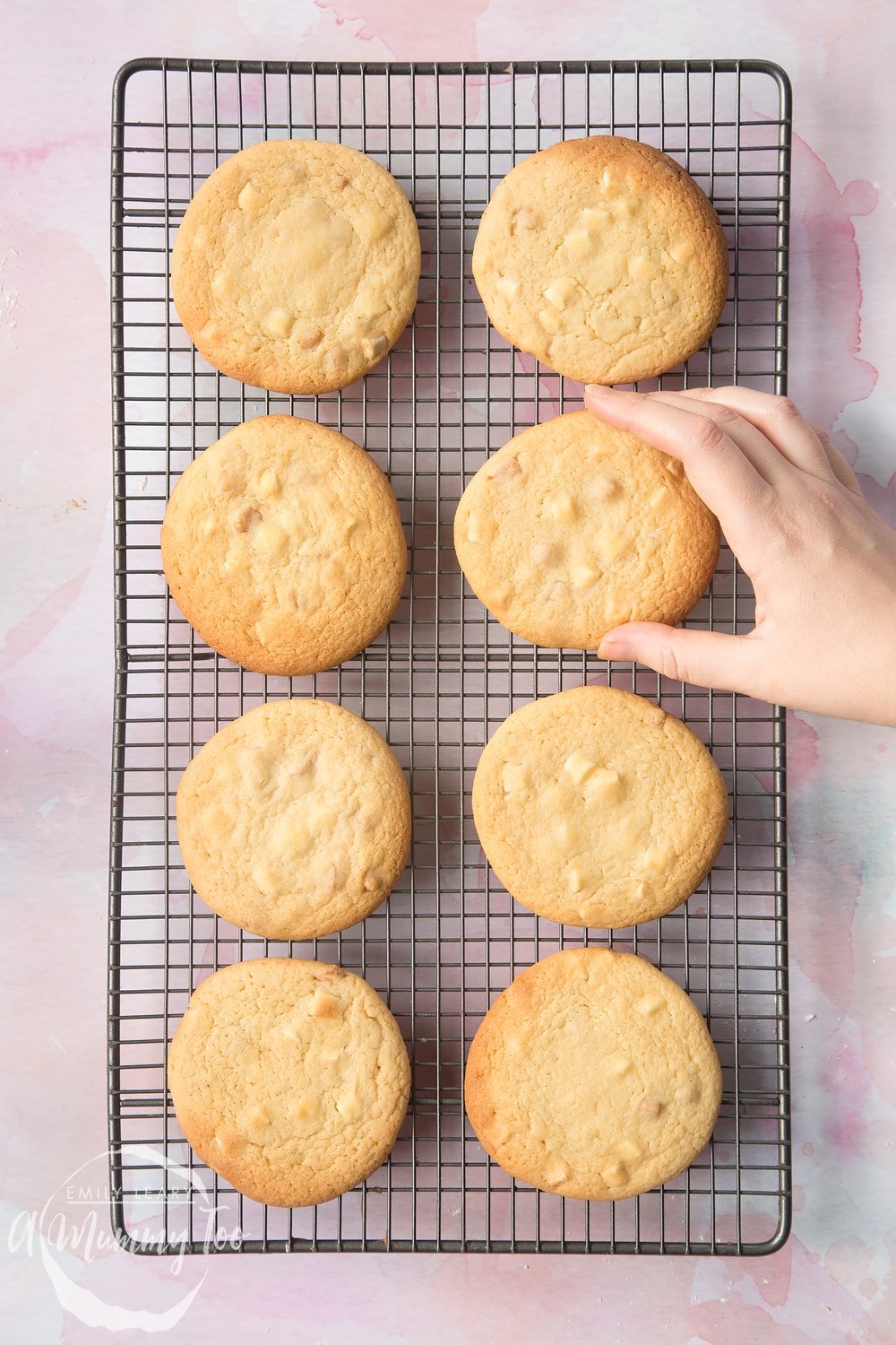 Overhead shot of white chocolate chip cookie in a baking rack with a mummy too logo in the lower-left corner