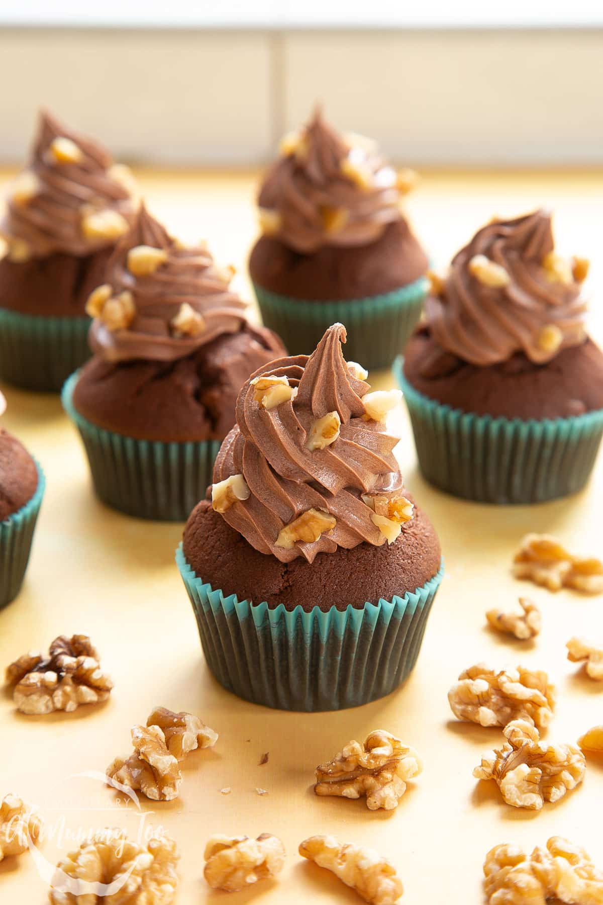 Chocolate walnut cupcakes decorated with creamy chocolate frosting. Walnuts are scattered around the cupcakes.