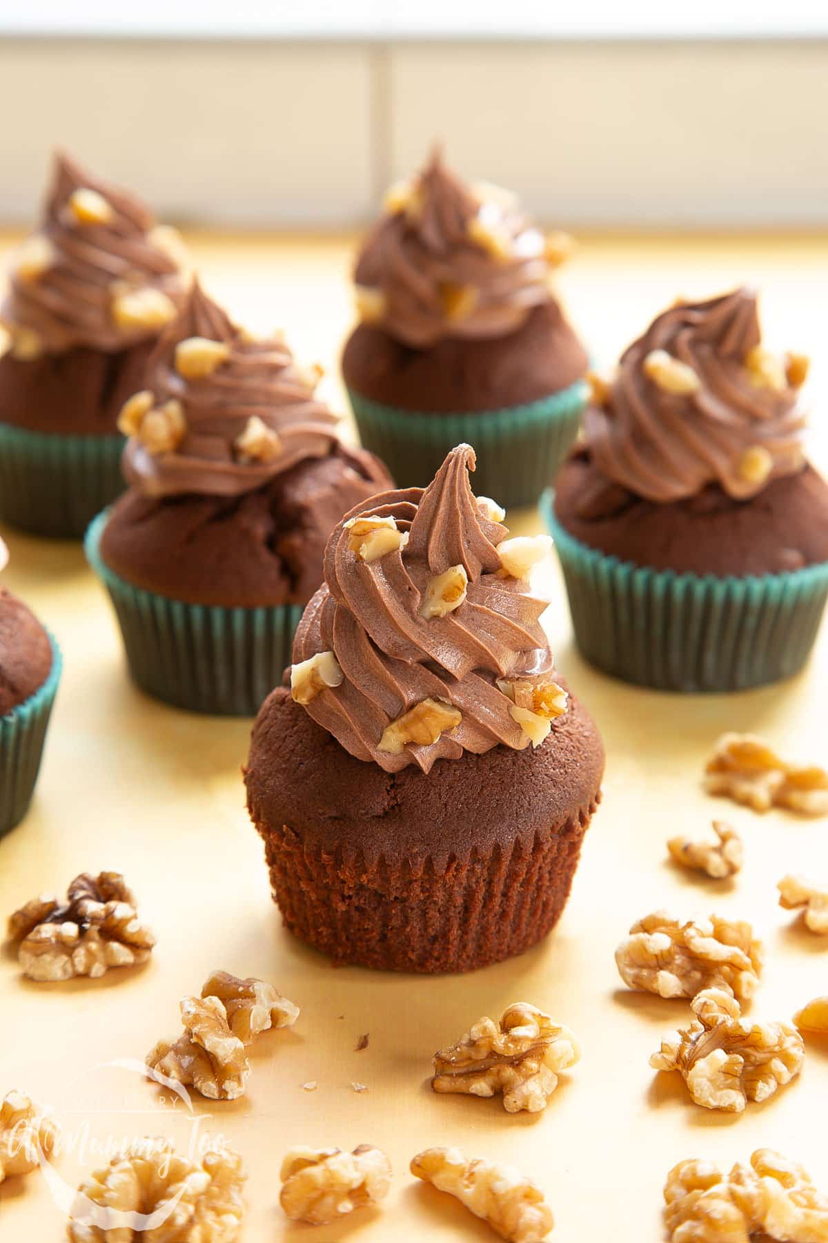 Chocolate walnut cupcakes decorated with creamy chocolate frosting. Walnuts are scattered around the cupcakes. The cupcake in the fore has been unwrapped from its case.