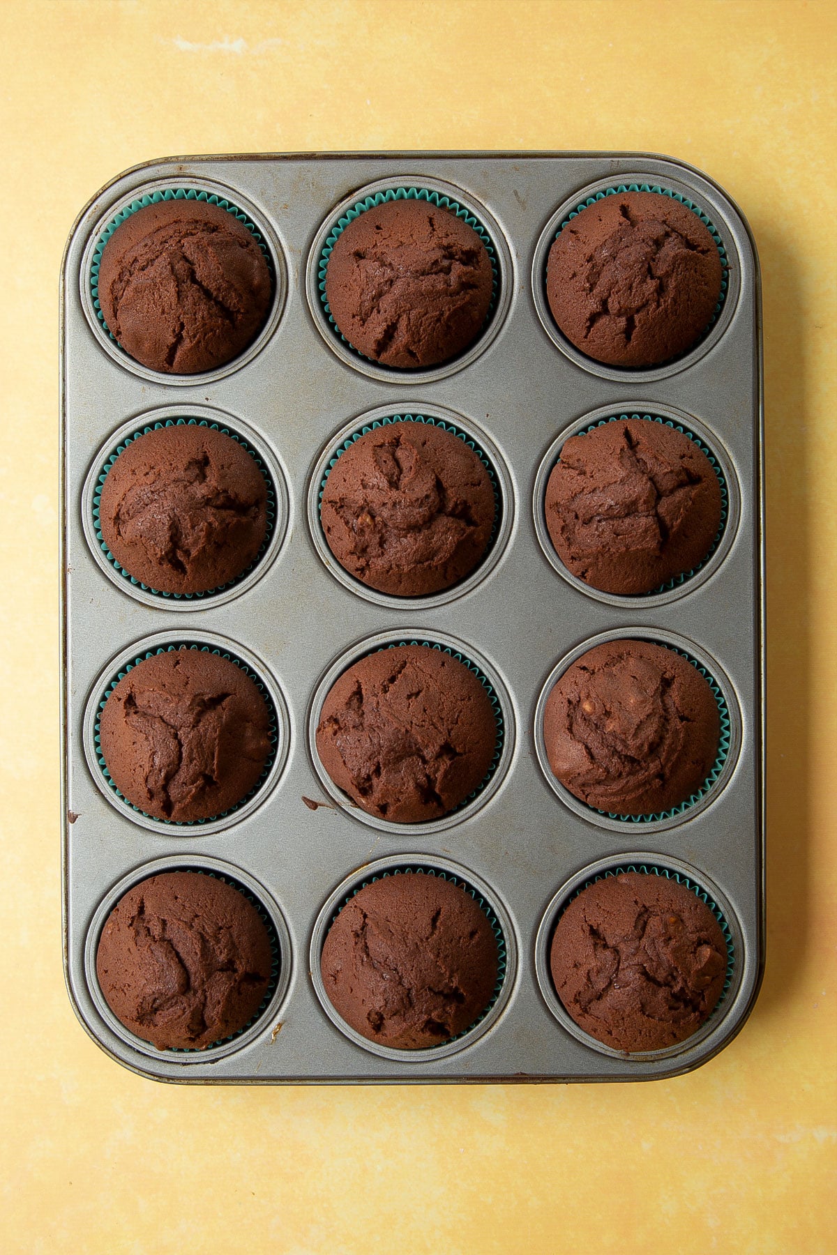 Chocolate walnut cupcakes freshly baked in a muffin tray. 