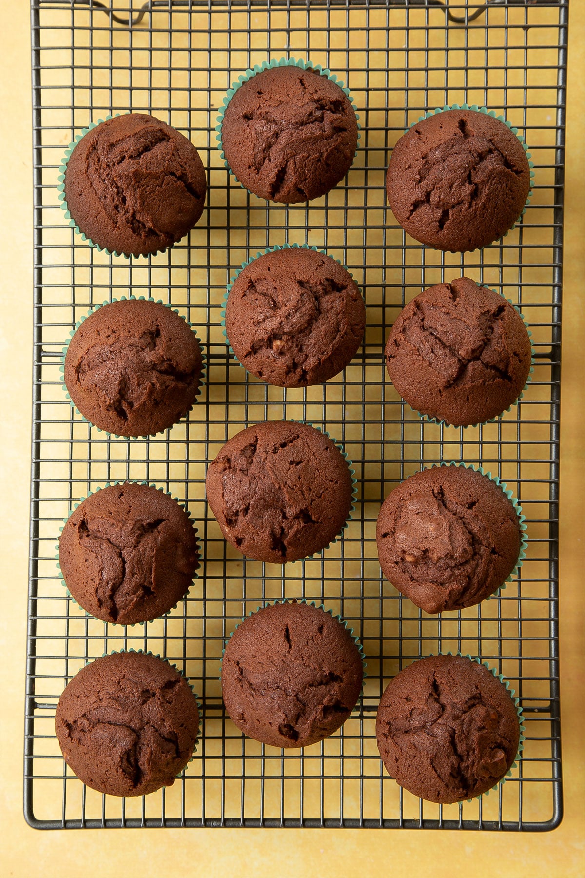 Chocolate walnut cupcakes freshly baked and cooling on a wire rack. 