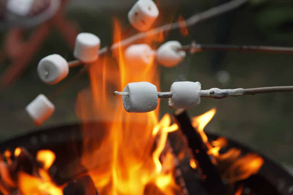 Marshmallows on a stick roasted over an open flame. 