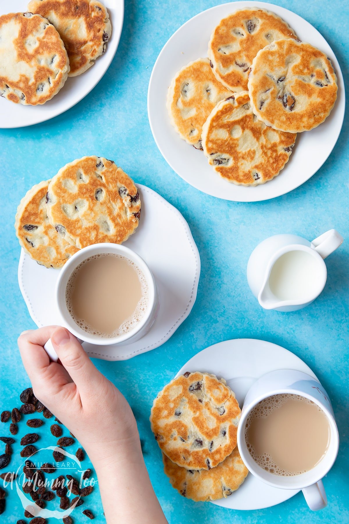 Welsh cakes on a number of white plates with cups of tea. A small jug of milk sits to one side by a scattering of sultanas. A hand reaches in to take a cup of tea.