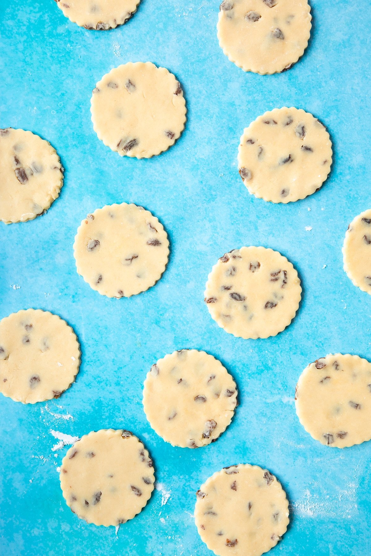 Rounds of Welsh cakes dough on a floured surface.