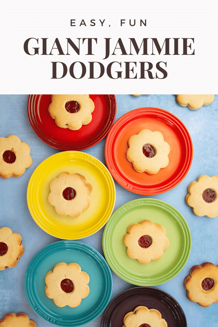 Giant jammie dodgers arranged on a variety of rainbow coloured small plates. Caption reads: easy, fun giant jammie dodgers
