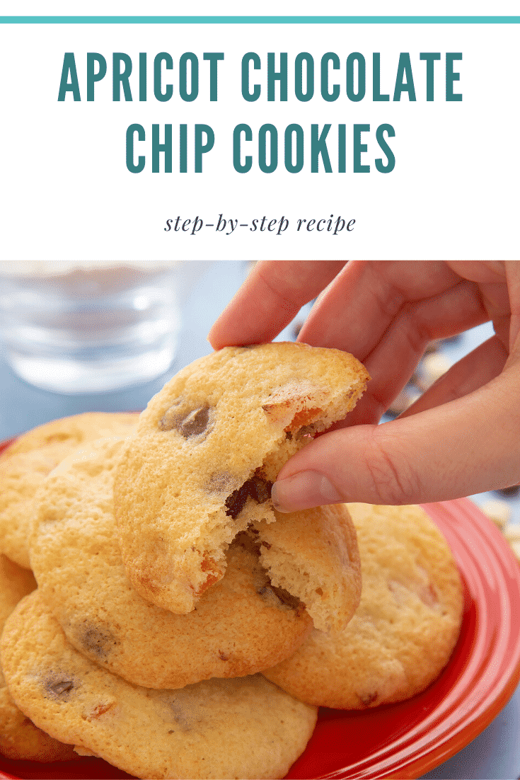 Apricot chocolate chip cookies stacked on a small orange plate. A hand reaches to take a half. Caption reads: apricot chocolate chips cookies step-by-step recipe