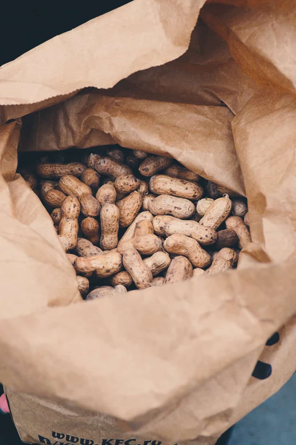 Peanuts in their shells in a large brown paper bag.