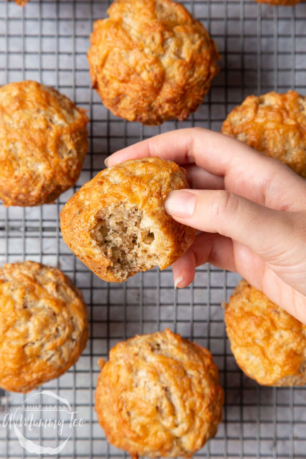 Easy cheese muffins cooling on a wire rack. A hand holds a muffin with a bite taken out of it, revealing the cheesy interior crumb.