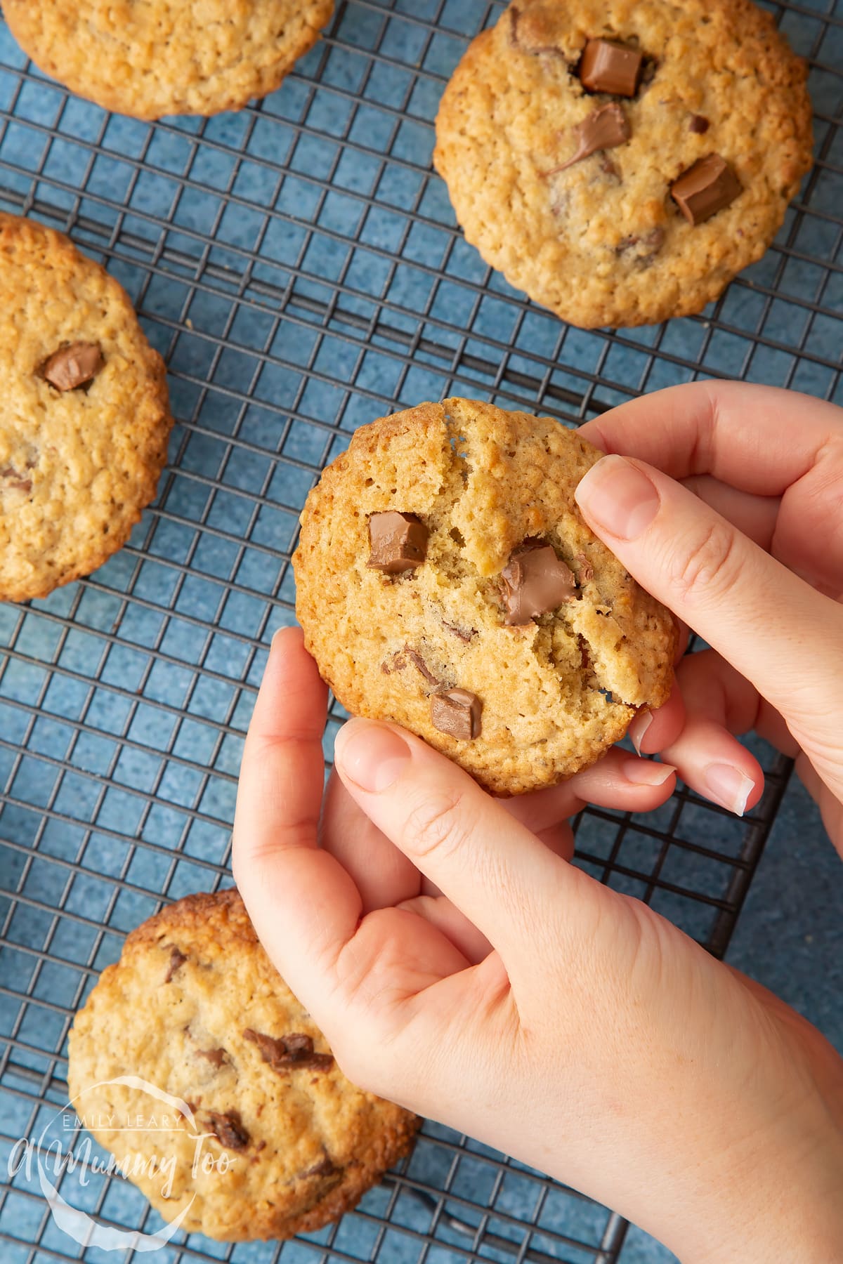 Hands breaking an oatmeal chocolate chip cookie. More cookie monster cookies are shown on a wire rack in the background.