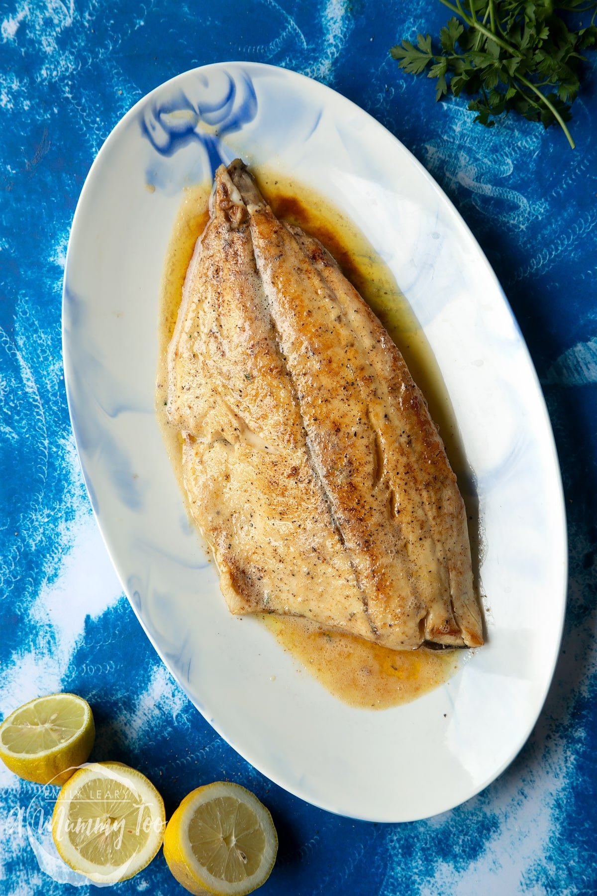 Pan-fried Yellowtail on an oval serving dish. 