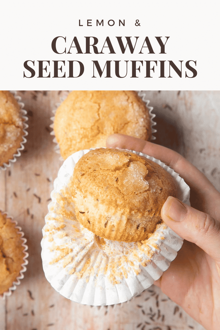 graphic text step-by-step recipe CARAWAY SEED MUFFIN above front angle shot of a hand touching lemon caraway seeds muffin with floral case with website URL below