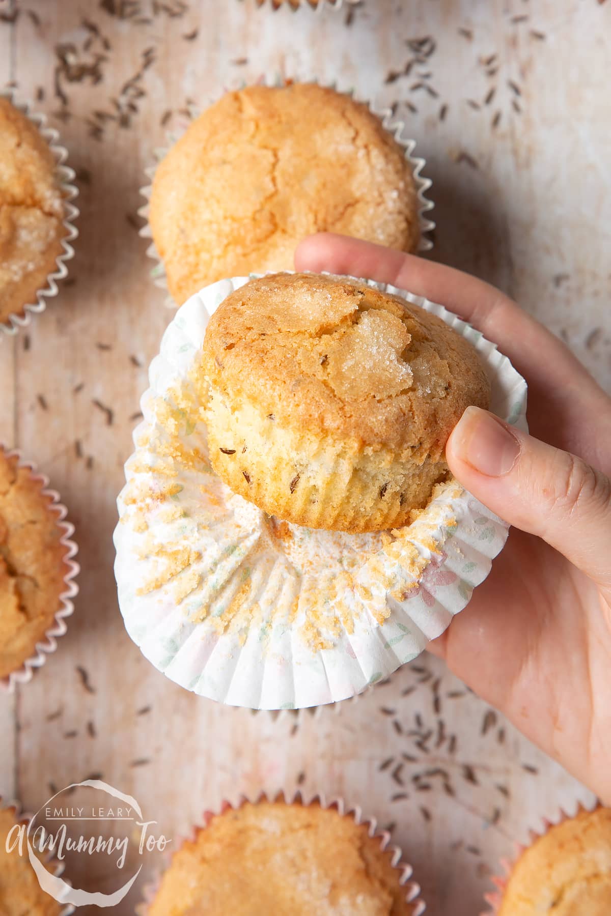 Overhead shot of a hand holding an uncased caraway seed muffin with a mummy too logo in the lower-left corner