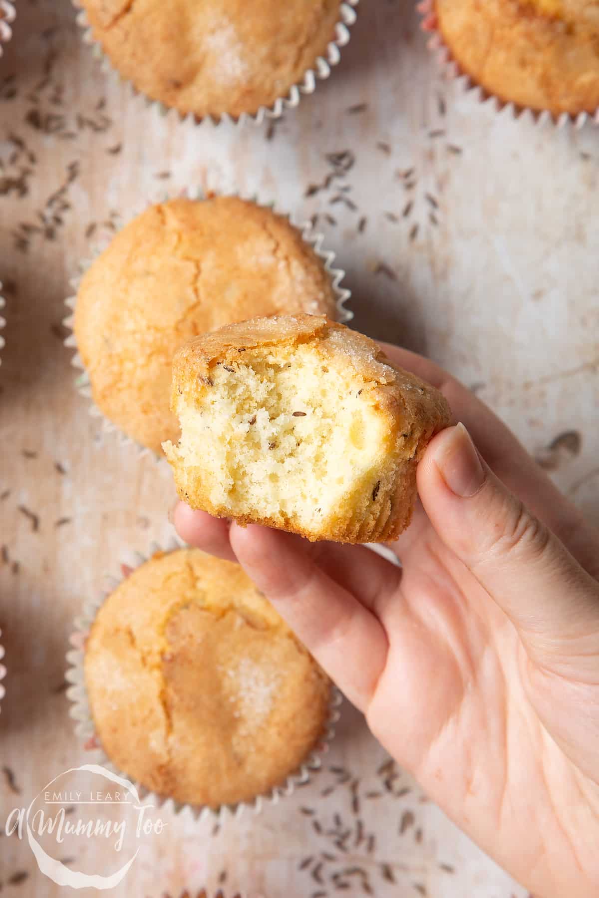 Overhead shot of a hand holding a half eaten Caraway seed muffins with a mummy too logo in the lower-left corner